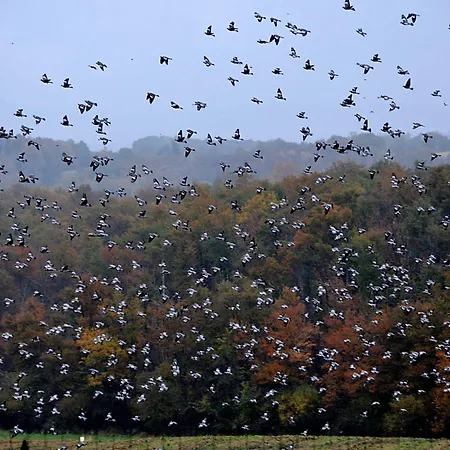 Сasa de vacaciones A Poutet