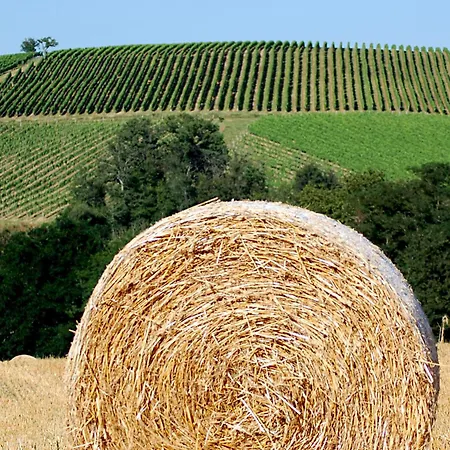 Сasa de vacaciones A Poutet Labarthete