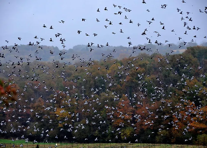 Дом отдыха A Poutet