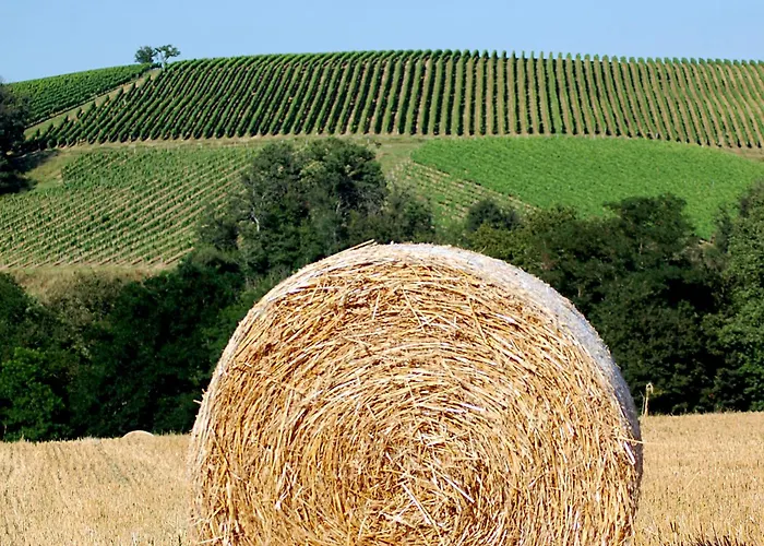 Дом отдыха A Poutet Labarthete