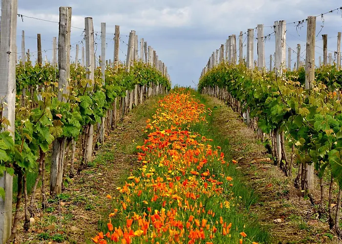 A Poutet Дом отдыха Labarthete